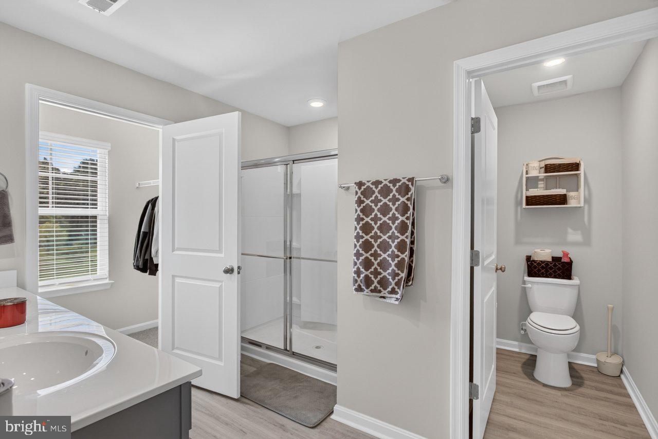 115 Waterfront Drive Raphine, VA 24472 - Photo 21 of 49 Primary bath
