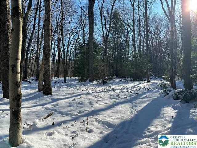 a view of outdoor space with trees