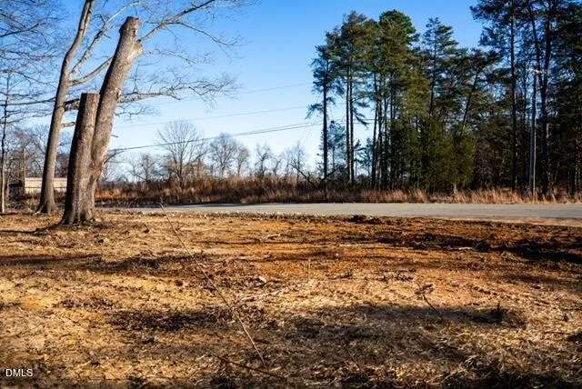 a view of a yard with trees