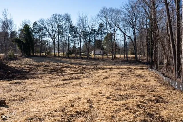 a view of a yard with trees