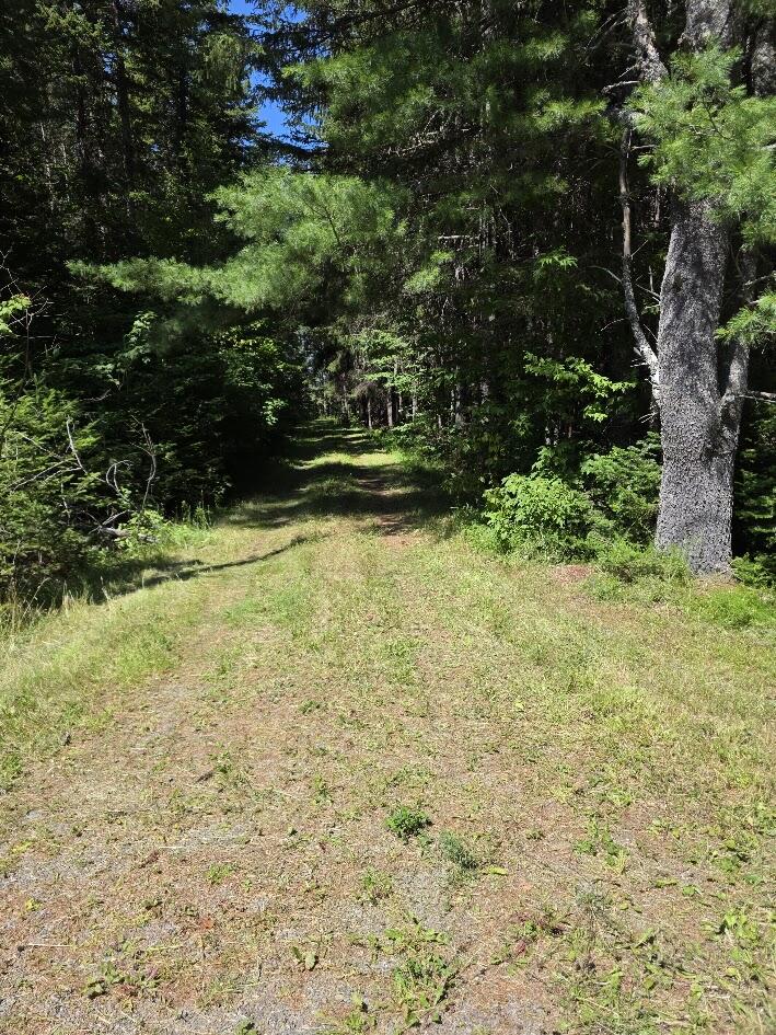 871 Estabrook Road Amity, ME 04471 - Photo 15 of 35 20260727_111132