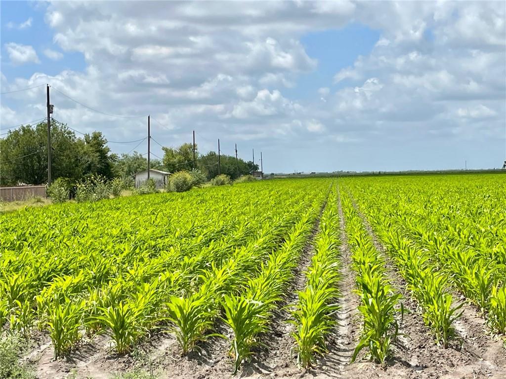 491 North Rd La Mercedes, TX 78570 - Photo 1 of 1