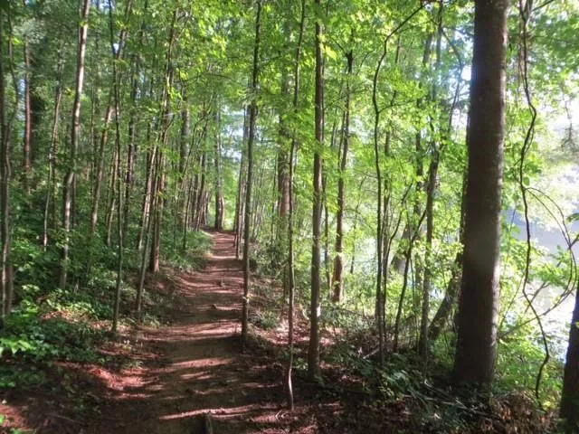 a view of outdoor space and garden