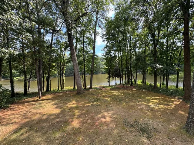 a view of a tree in a yard
