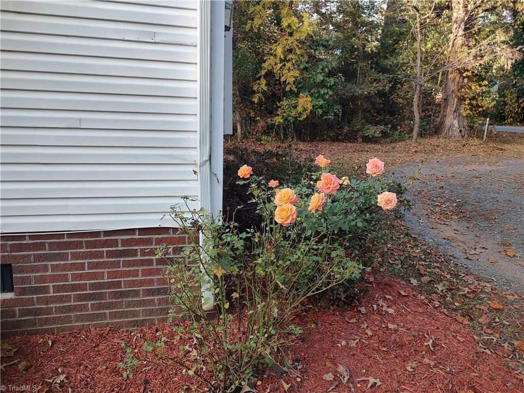 132 Lake Lemar Road Reidsville, NC 27320 - Photo 6 of 9 Gallery Image 6