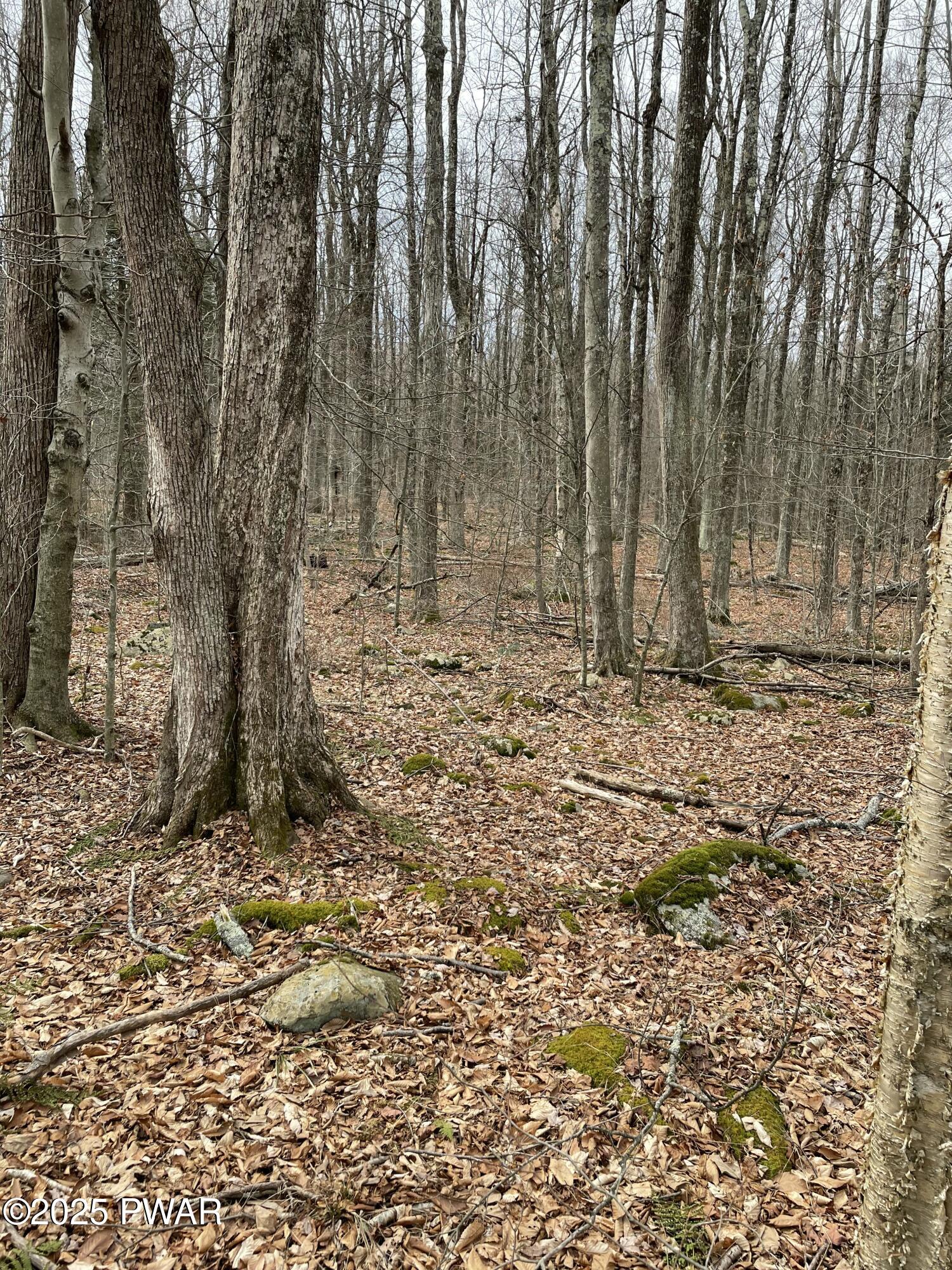 Lot 270 Radcliff Lane Bushkill, PA 18324 - Photo 7 of 10