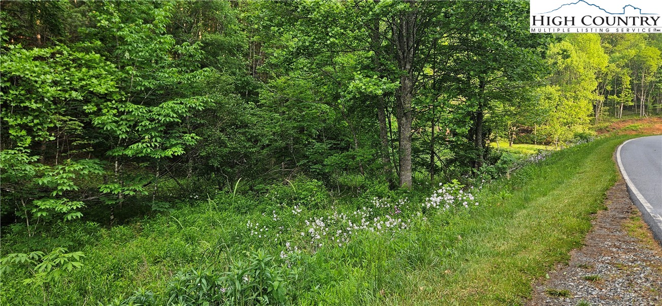 0 Chestnut Dale Road Newland, NC 28657 - Photo 3 of 8 Gallery Image 3