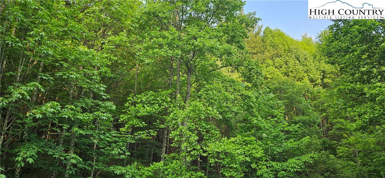 0 Chestnut Dale Road Newland, NC 28657 - Photo 5 of 8 Gallery Image 5