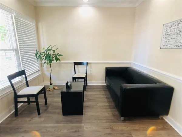 a living room with furniture and a potted plant