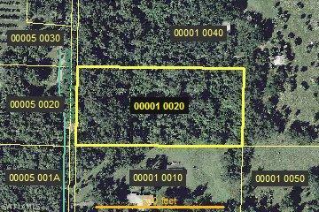18890 Parkinson Road Alva, FL 33920 - Photo 1 of 1