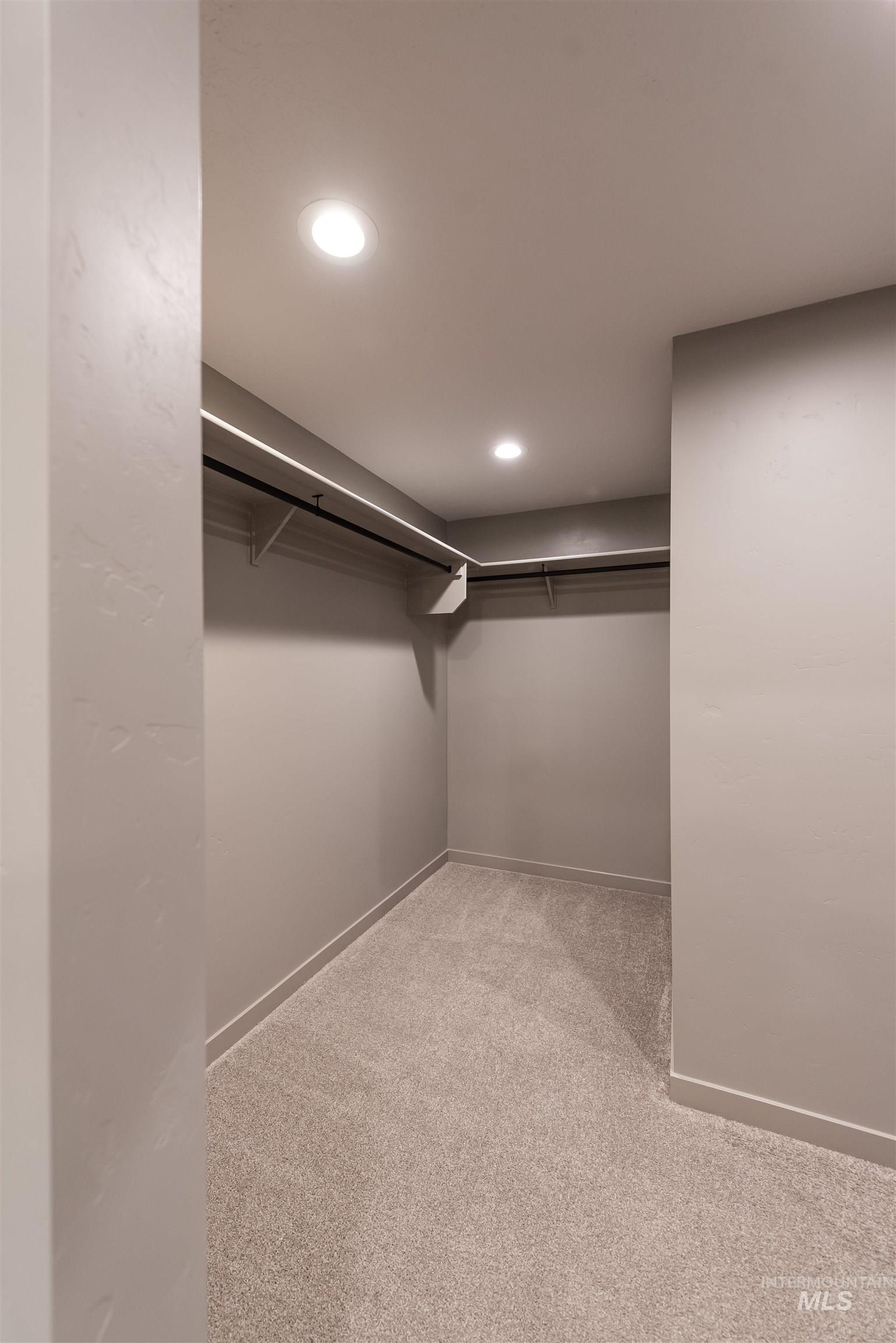 360 South Bumper Way Boise, ID 83716 - Photo 19 of 34 Walk in closet featuring light carpet