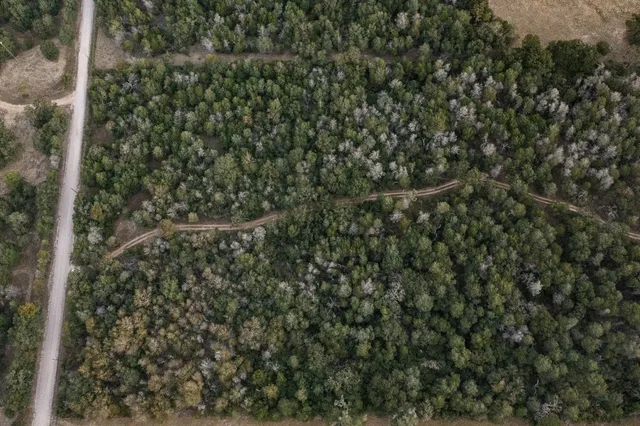 a view of a bird bath