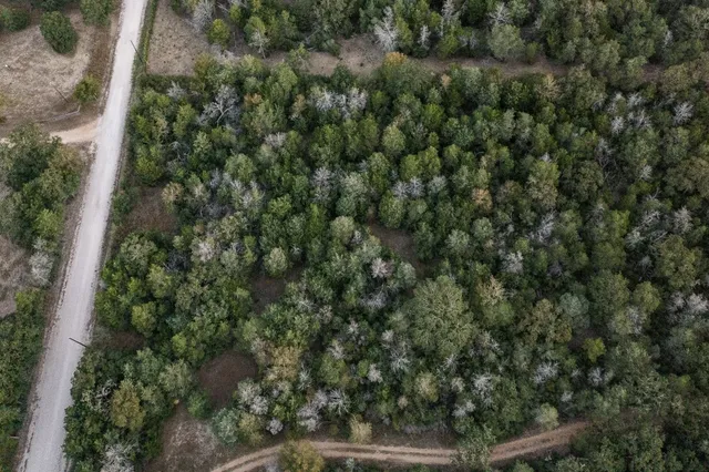 a view of a lake from a yard