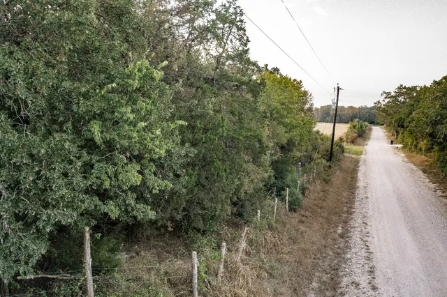 a view of a forest with trees