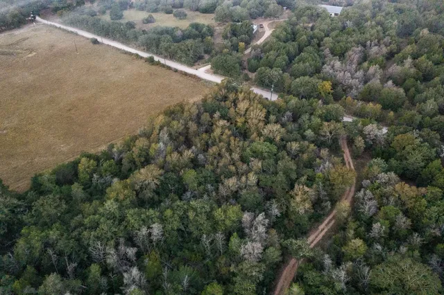 an aerial view of forest