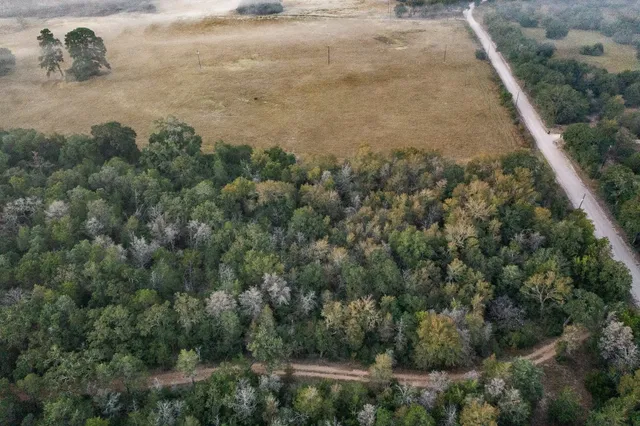 a view of a dry yard with trees