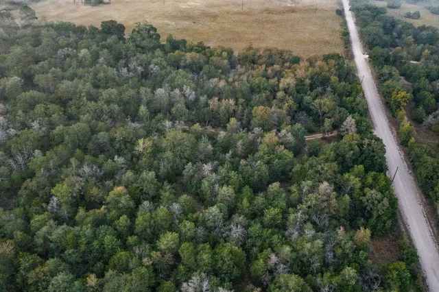 an aerial view of a residential houses with outdoor space and trees
