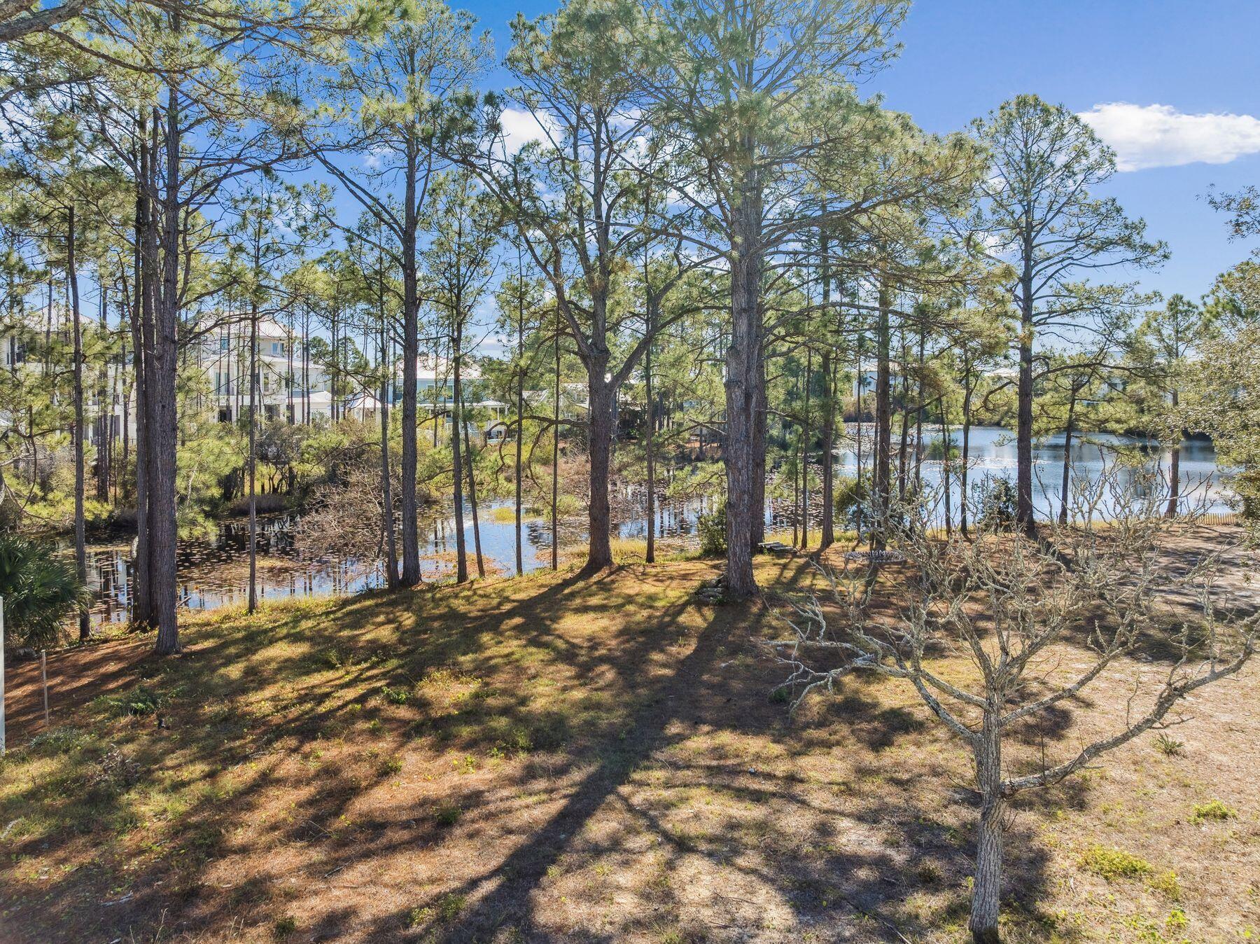 65 Lakeview Drive Santa Rosa Beach, FL 32459 - Photo 8 of 14 a view of a yard with large trees