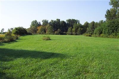 1 Bowers Road Bronson, MI 49028 - Photo 1 of 7 Primary Photo