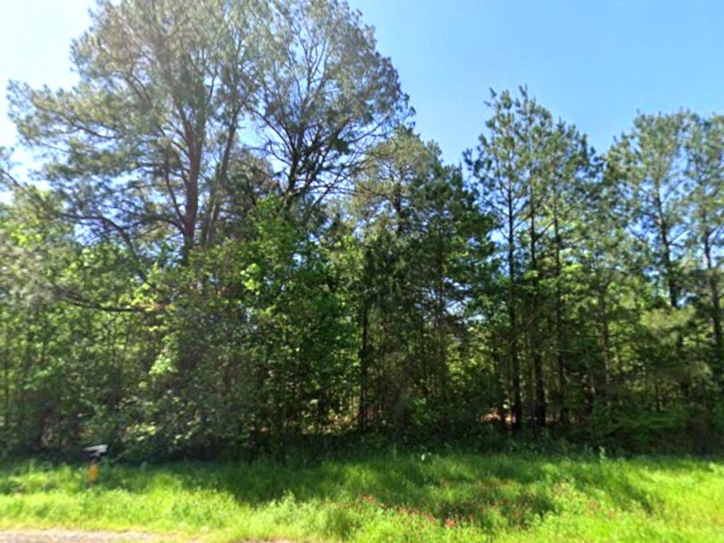 0 Highway 49 Jefferson, TX 75657 - Photo 3 of 9 a view of outdoor space