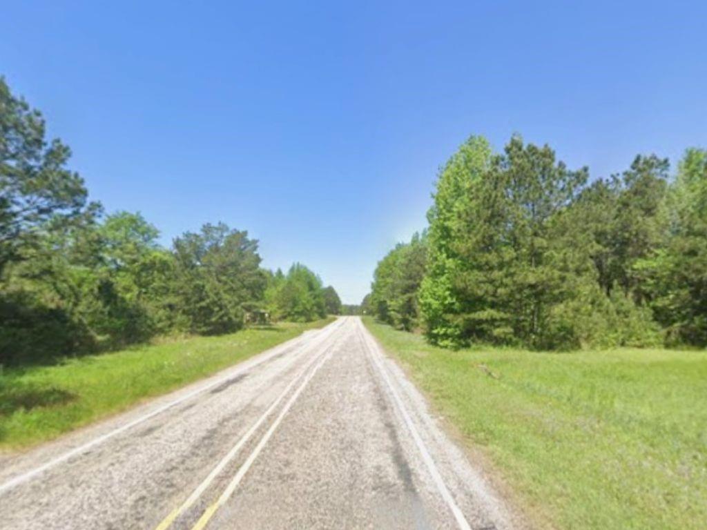0 Highway 49 Jefferson, TX 75657 - Photo 5 of 9 a view of a garden