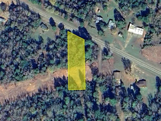 a bird view of building and trees