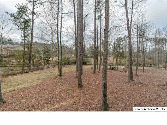 4612 Old Looney Mill Road Birmingham, AL 35243 - Photo 3 of 32