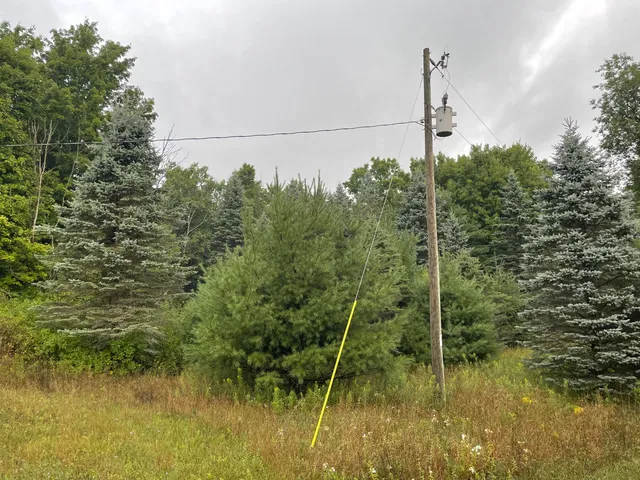 $375,000 | 11845 East 24th Street, Reed City, MI 49677