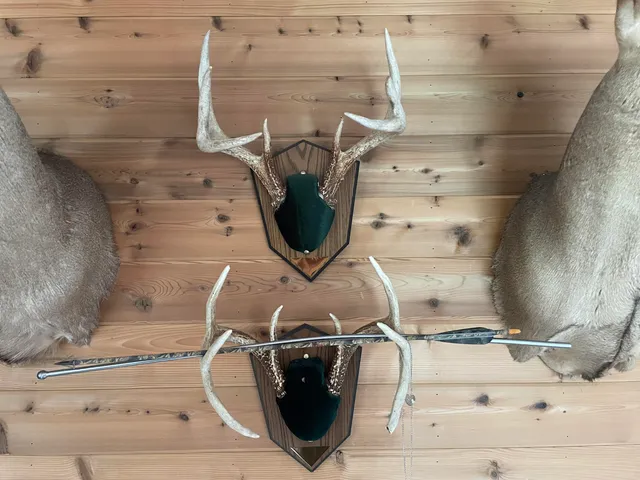 $375,000 | 11845 East 24th Street, Reed City, MI 49677