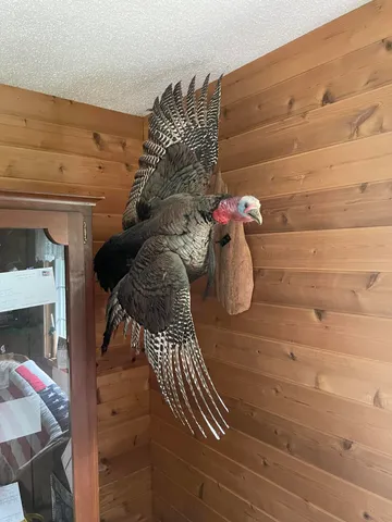 $375,000 | 11845 East 24th Street, Reed City, MI 49677