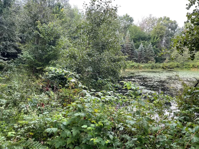 $375,000 | 11845 East 24th Street, Reed City, MI 49677