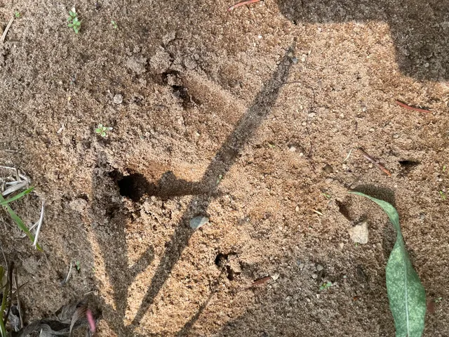 $375,000 | 11845 East 24th Street, Reed City, MI 49677