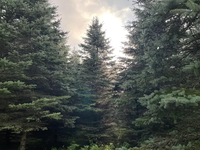 $375,000 | 11845 East 24th Street, Reed City, MI 49677