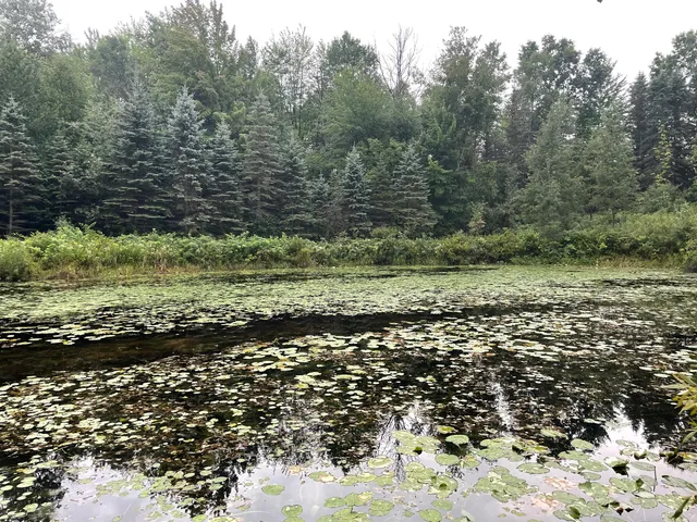 $375,000 | 11845 East 24th Street, Reed City, MI 49677