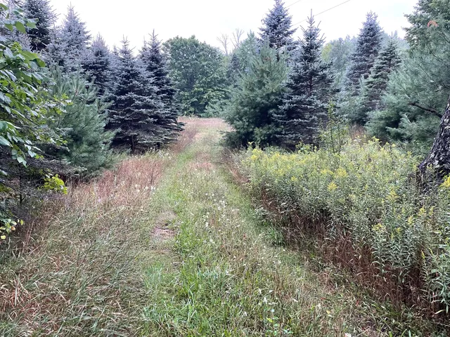 $375,000 | 11845 East 24th Street, Reed City, MI 49677