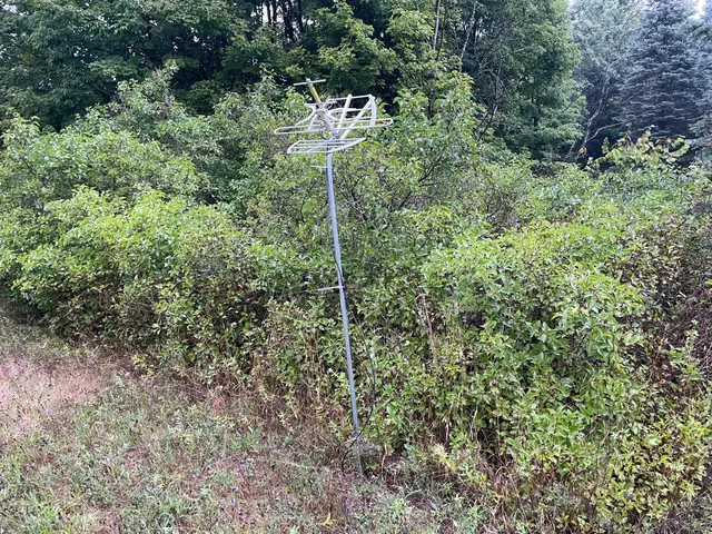 $375,000 | 11845 East 24th Street, Reed City, MI 49677