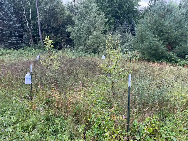 $375,000 | 11845 East 24th Street, Reed City, MI 49677