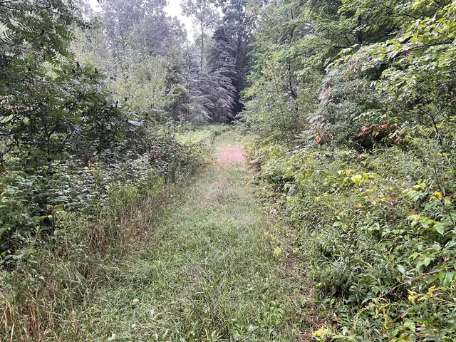 $375,000 | 11845 East 24th Street, Reed City, MI 49677