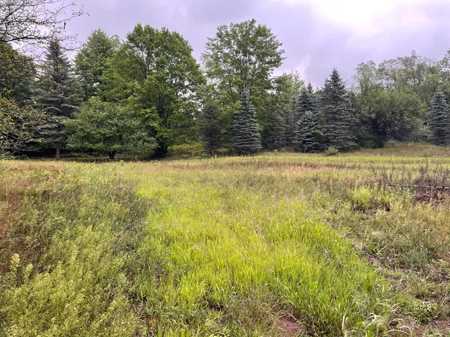 $375,000 | 11845 East 24th Street, Reed City, MI 49677