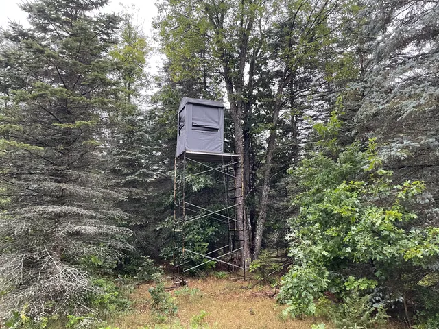 $375,000 | 11845 East 24th Street, Reed City, MI 49677