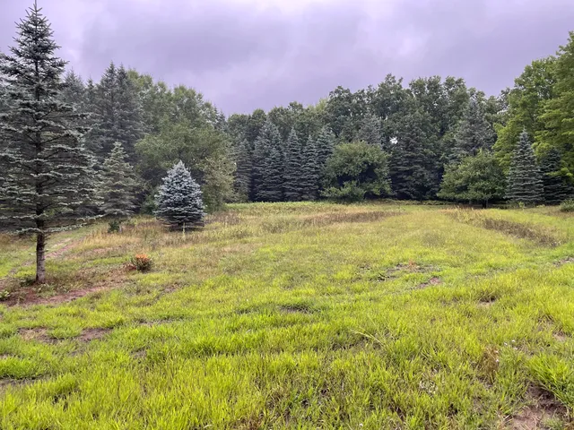 $375,000 | 11845 East 24th Street, Reed City, MI 49677