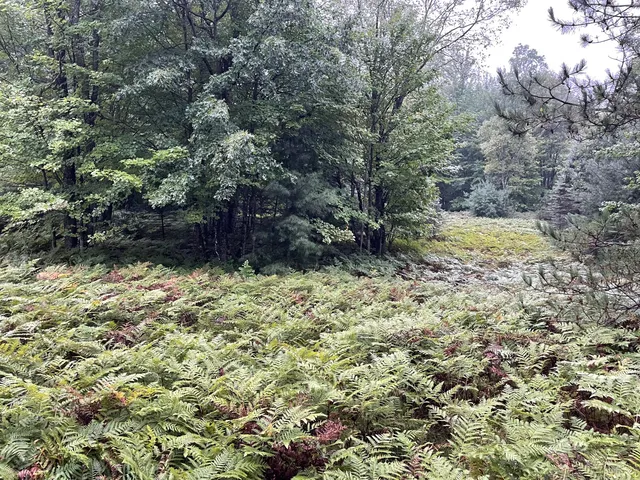 $375,000 | 11845 East 24th Street, Reed City, MI 49677