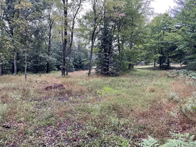 $375,000 | 11845 East 24th Street, Reed City, MI 49677