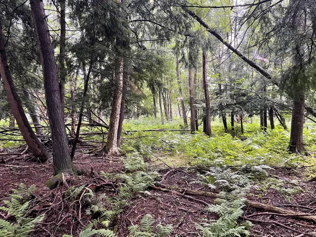 $375,000 | 11845 East 24th Street, Reed City, MI 49677