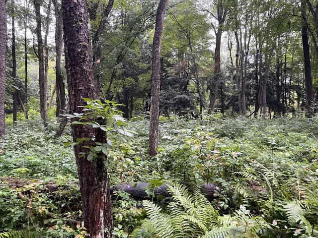 $375,000 | 11845 East 24th Street, Reed City, MI 49677