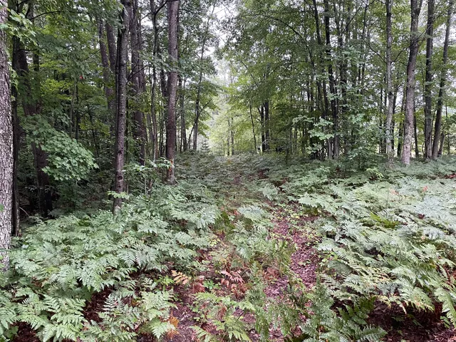 $375,000 | 11845 East 24th Street, Reed City, MI 49677