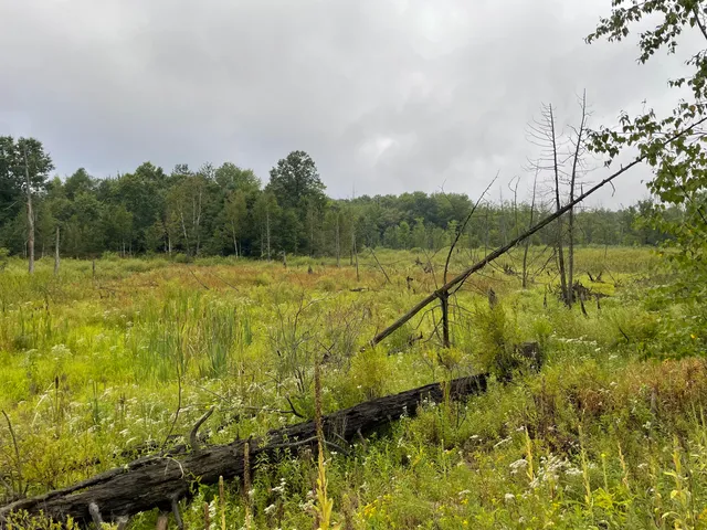 $375,000 | 11845 East 24th Street, Reed City, MI 49677