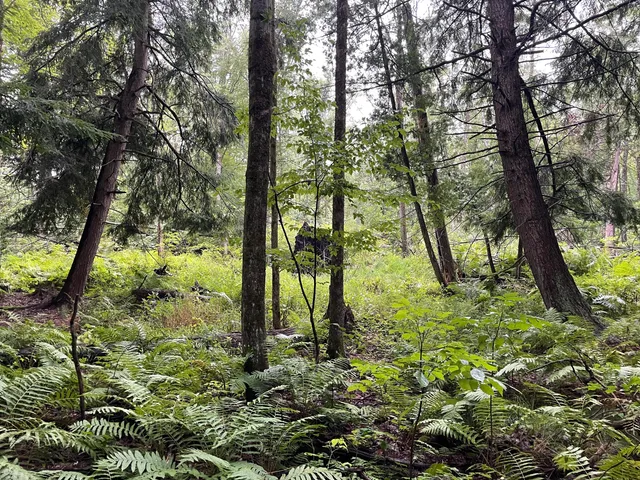 $375,000 | 11845 East 24th Street, Reed City, MI 49677