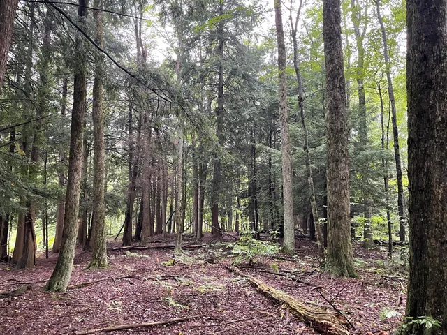 $375,000 | 11845 East 24th Street, Reed City, MI 49677