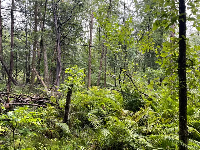 $375,000 | 11845 East 24th Street, Reed City, MI 49677